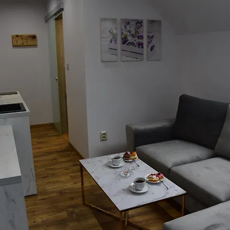 Apartamento žakovce&spa *